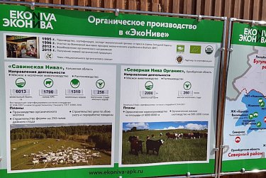 Рабочая неделя Геннадия Аверьянова проходит в избирательном округе